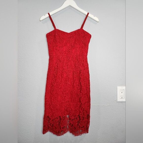 Lulus Dresses & Skirts - Red Lace Valentine’s Day Dress